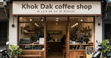 ร้านกาแฟน็อคดาวน์ เขตหลักสี่: รีวิวทำเล จุดเด่น และวิธีค้นหาร้านที่ตอบโจทย์